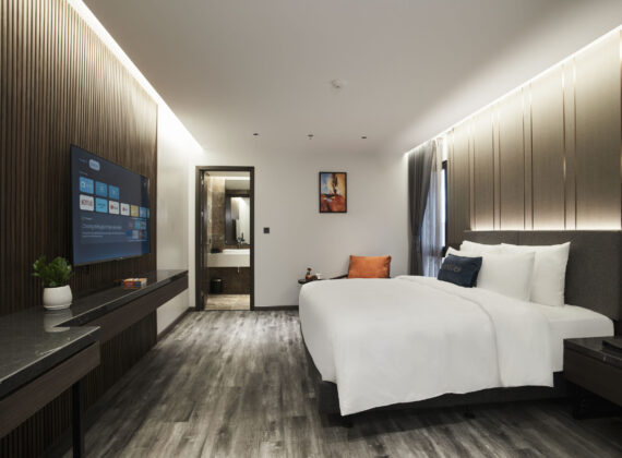 Deluxe Apartment